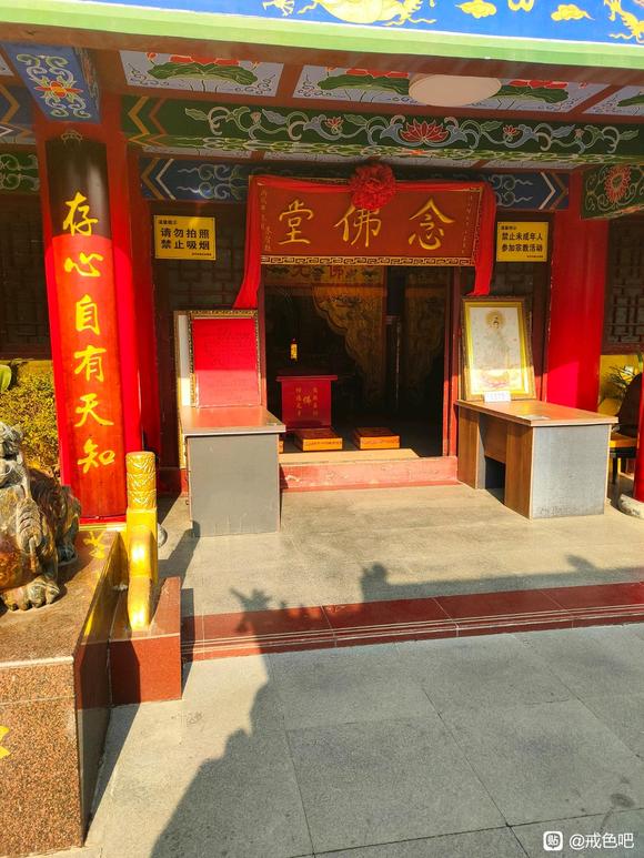 ”今天来佛寺院了