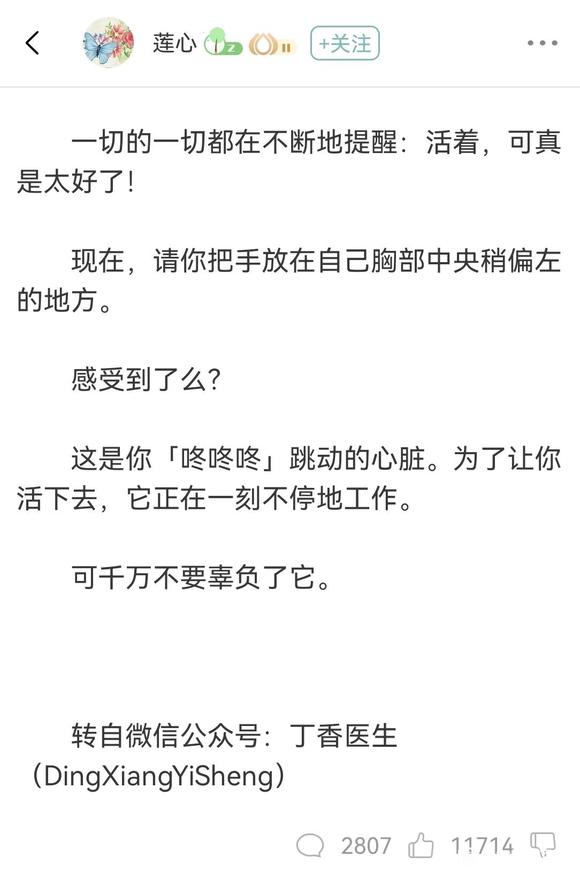 ”让生命静静绽放