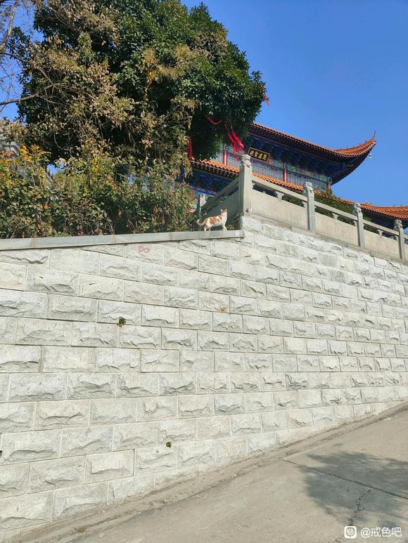 ”合理的释放压力