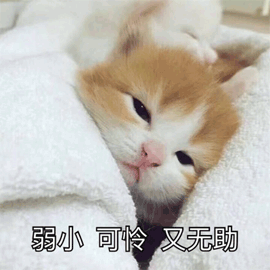 ”求助，戒色一段时间后测了jingzi质量