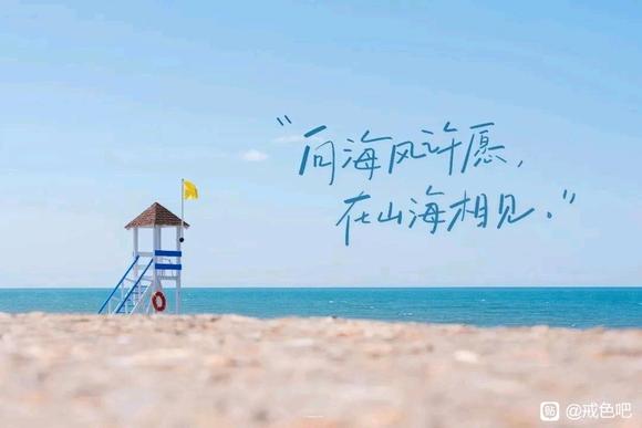 ”为理想而战，这次真的豁出去了！