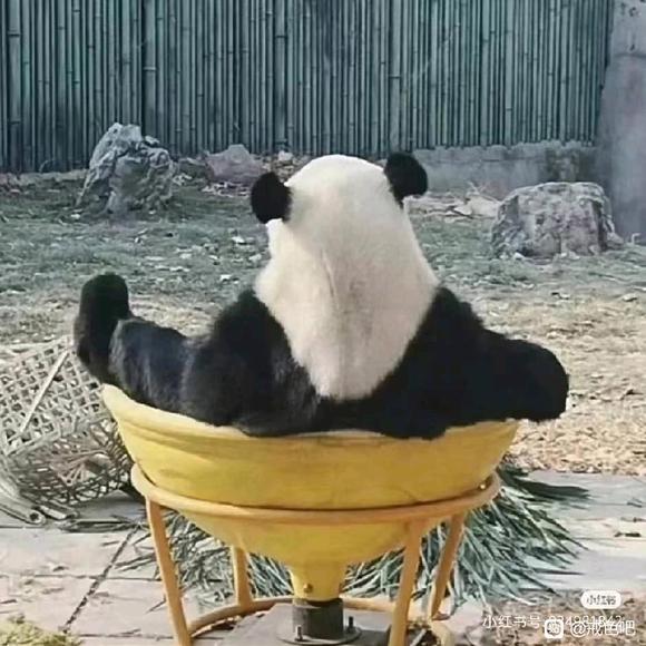 ”天黑了，破戒三件套，你集齐了吗
