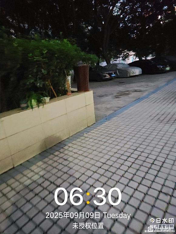 ”九月打卡帖