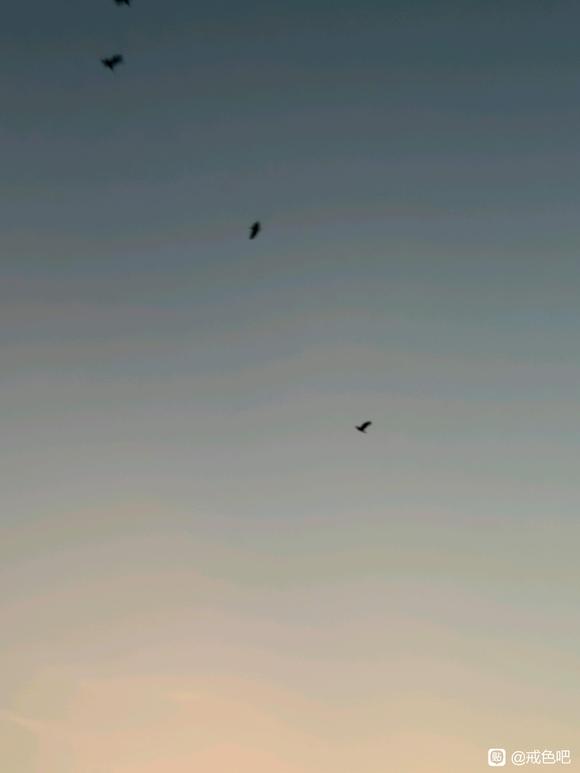 ”【问题求助】旱泄恢复了，还要继续戒吗