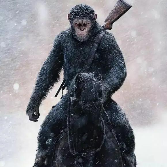 ”又输给心魔了，再次百日筑基，立贴为证