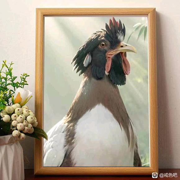 ”看h多了开始免疫了怎么办