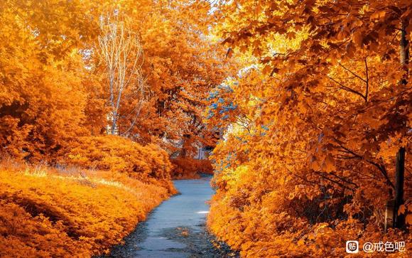 ”戒色第106天！