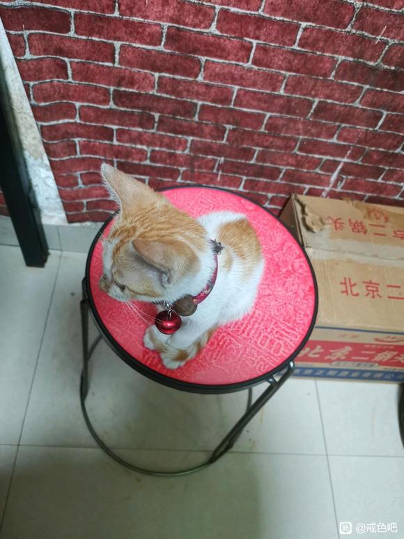 ”重新开始，下定决心，戒色第一天