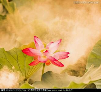 ”【戒色心得】【毅然经验：『劝不看网络小说』】