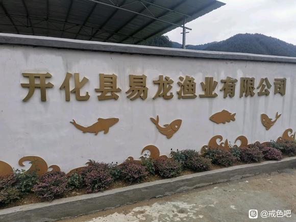 ”戒色第十一日