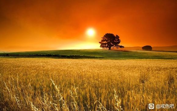 ”戒色第109天！