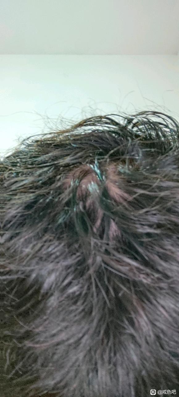 ”痛心疾首悔不当初