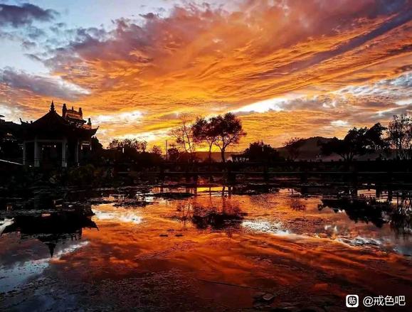 ”#微信看病卖药是假的#今天是第五天