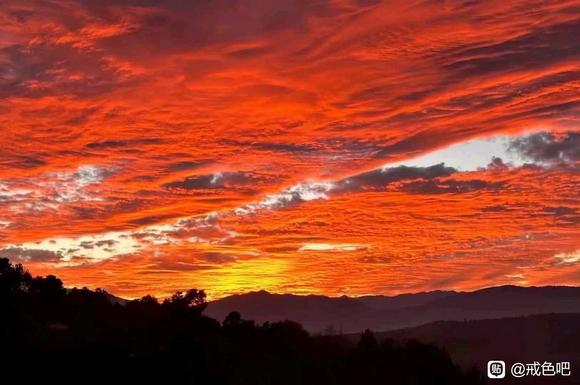 ”#微信看病卖药是假的#今天是第五天