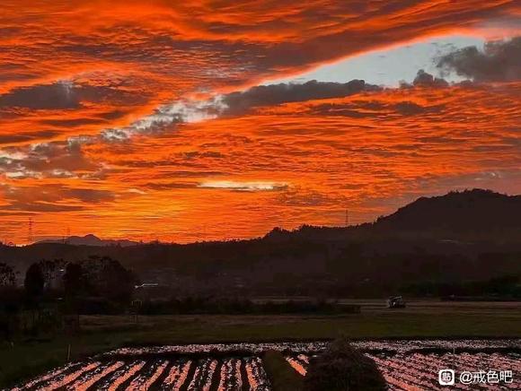 ”#微信看病卖药是假的#今天是第五天