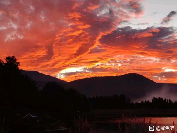 ”#微信看病卖药是假的#今天是第五天