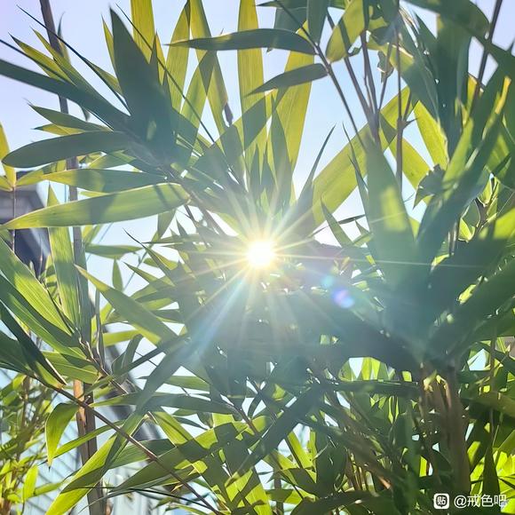 ”这几天欲望特别重，感觉是魔考，在这期间我该注意什么呢
