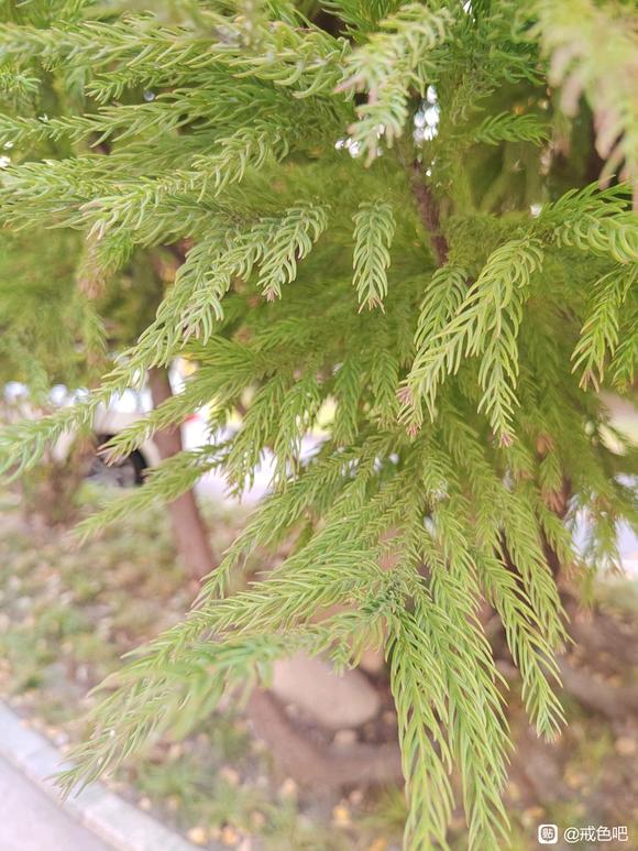 ”【成长记录】重新开始，第一天