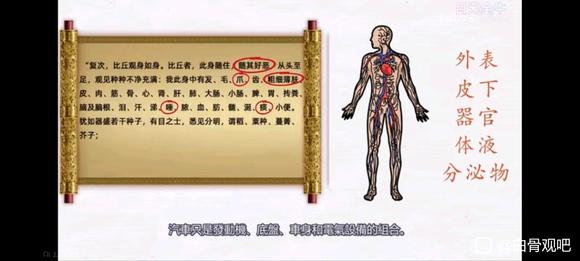 ”白骨观出现的问题#白骨观##戒色#