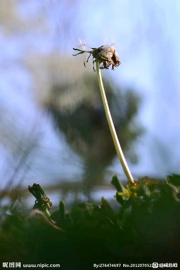 ”打卡第三天，戒色的路上你我同行加油陌生人。