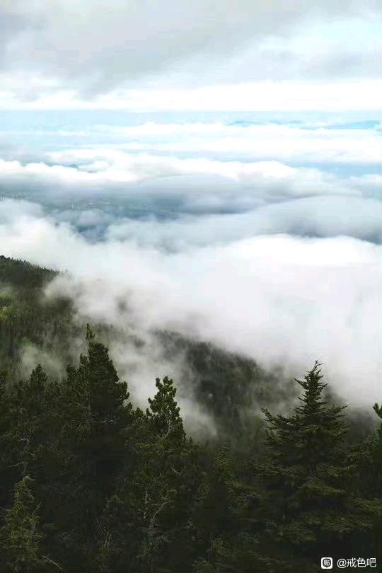 ”#微信看病卖药是假的#记录戒色，加油