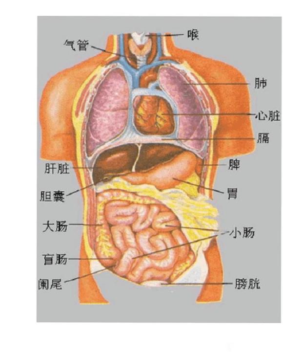 ”春天来了，戒色要更勤一些