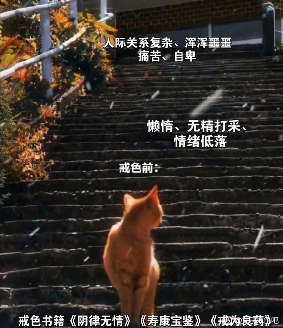 ”来半年戒色的改变