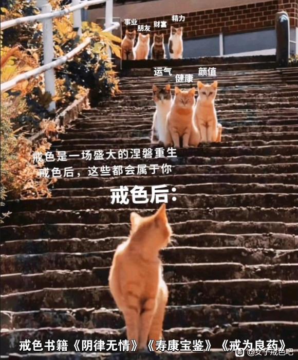 ”来半年戒色的改变