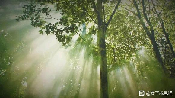 ”必须戒除邪淫，真心忏悔，永不再犯