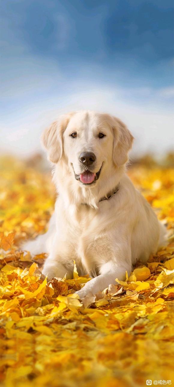 ”去苏州吴中区打螺丝了，问问物价医院馆子之类的