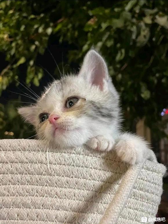 ”不能再冲了不然就要阳萎了