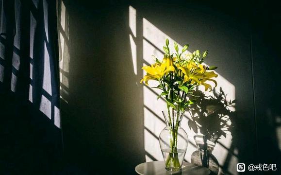 ”世间最便宜的长寿药：忙（深度）