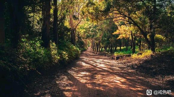 ”世间最便宜的长寿药：忙（深度）