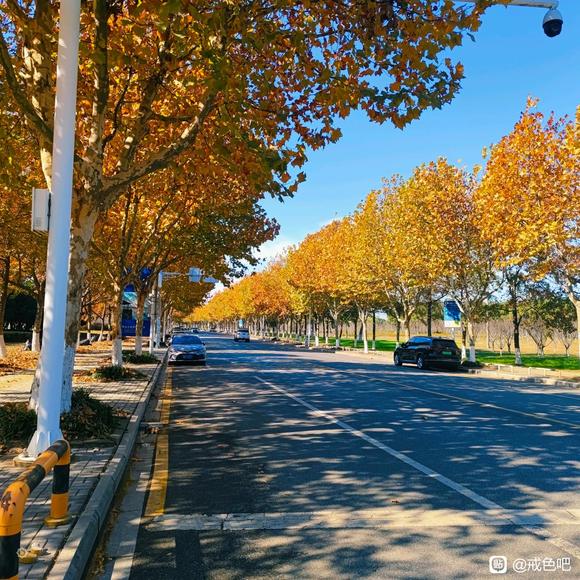 ”快半个月了！