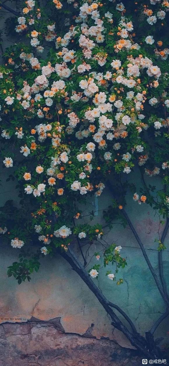 ”分享一个亲身经历的故事。