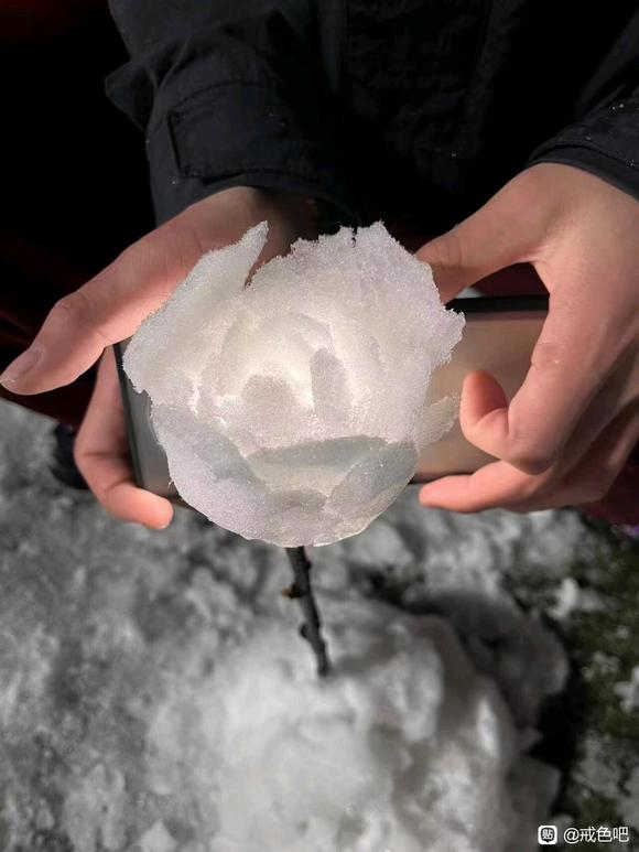 ”8u吗戒了一个多月过程中做什么恢复的更快（增高和祛痘)