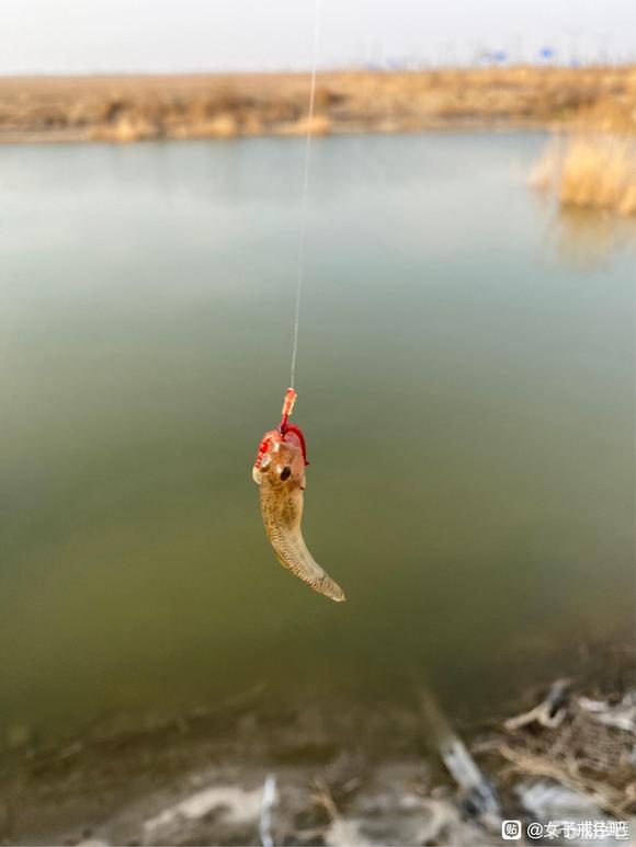 ”对我来说好用的对治邪念的方法