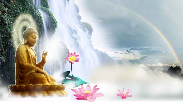 ”分享：《你走了那么久，是为了最后能够安住一声佛号》