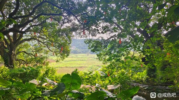 ”独处的时间太长了，什么方法比较好