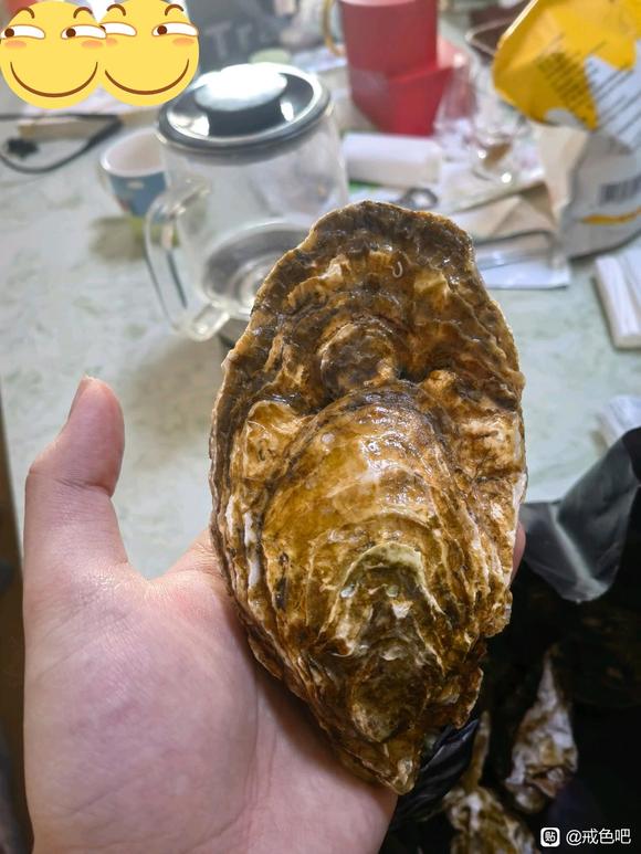 ”打卡戒冲开始！