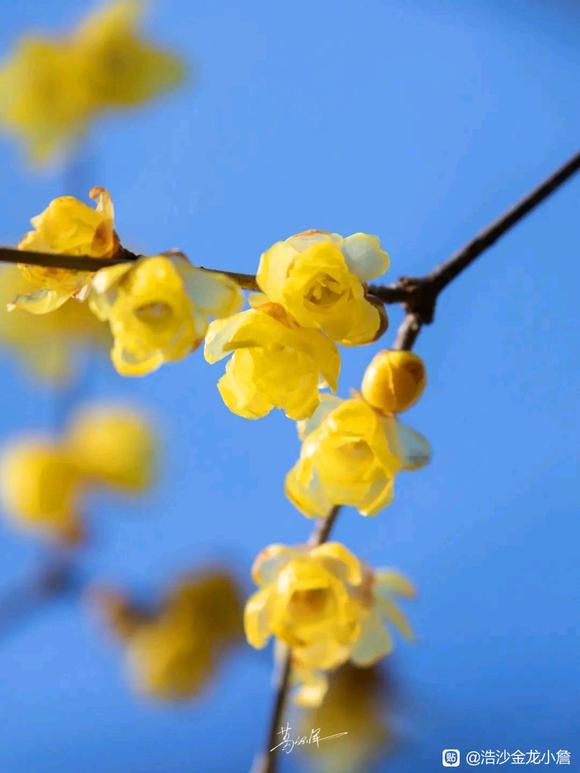 ”冬天到了，写给贴吧里同学们的一些感言