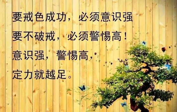 ”☀️戒色一年，月薪最高超过14万(附戒色吃素一年多的变化)