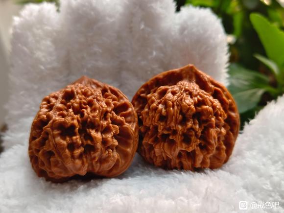 ”找一个兴趣转移注意力！