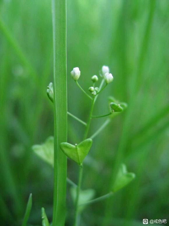 ”时隔五年，再次尝试右侧卧【走仰卧非常容易昏沉，仰卧睡眠质量极差