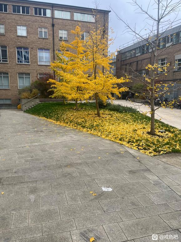 ”个人戒色经验一些