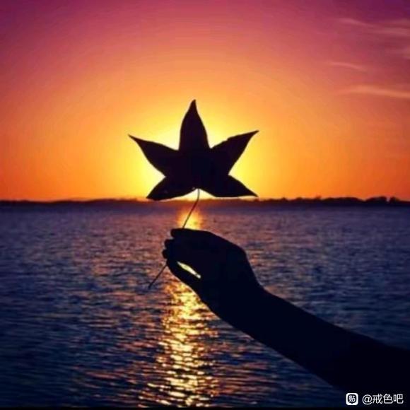 ”【成长记录】卸下灰暗，向阳而进