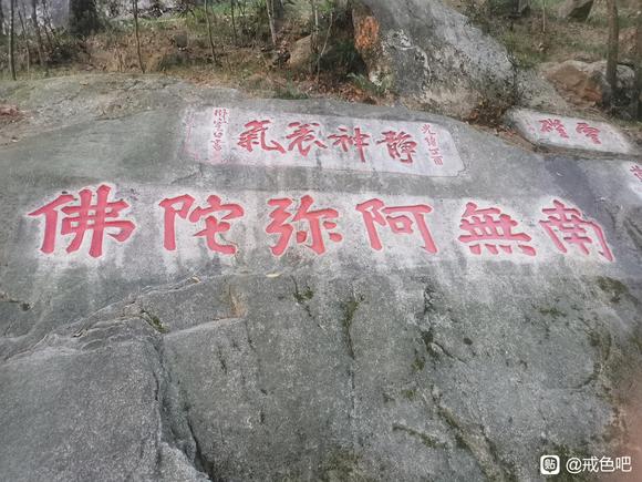 ”新人求个资源T-T