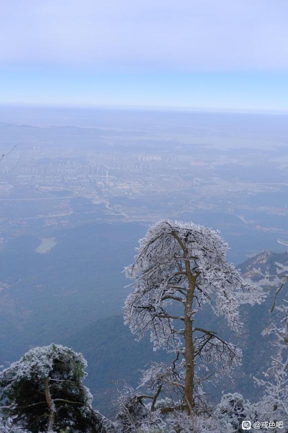 ”作蠢梦怡精算破戒吗