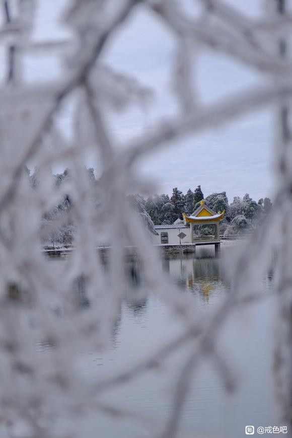 ”作蠢梦怡精算破戒吗