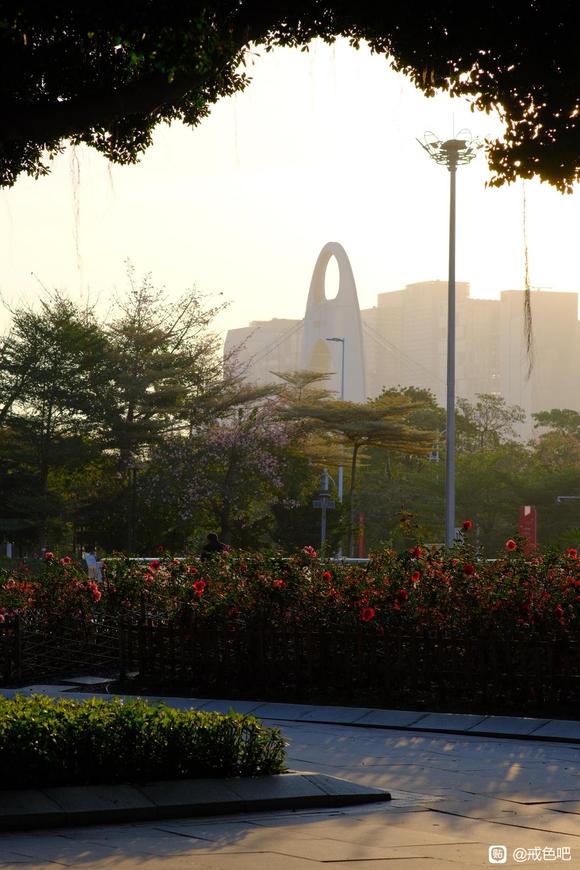 ”作蠢梦怡精算破戒吗